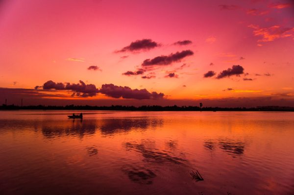 Landscapes